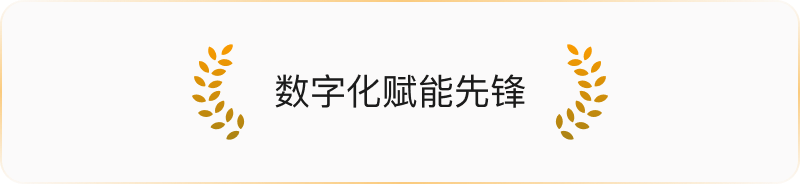 荣誉图片8
